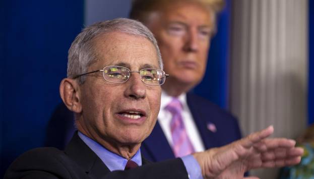 Nelle "fauci" di Fauci